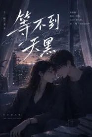等不到天黑